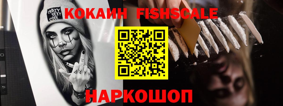 COCAIN Fish Scale  COCAIN  COCAIN Эквадор  Гай  Вход с VPN 