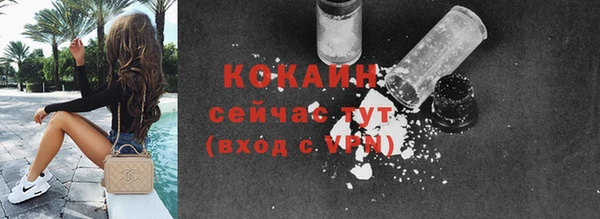 твердый Володарск