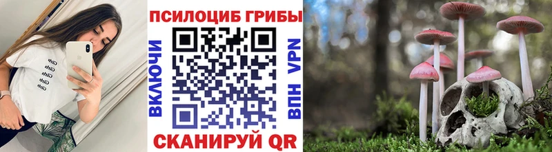 Галлюциногенные грибы Psilocybe  продажа наркотиков  Гай 