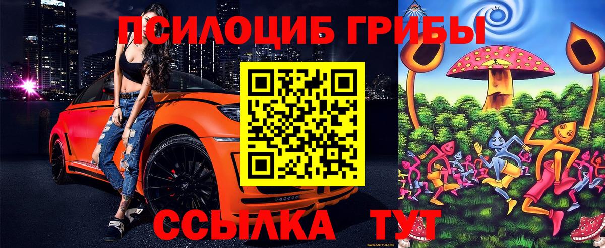 Псилоцибиновые грибы MAGIC MUSHROOMS Гай