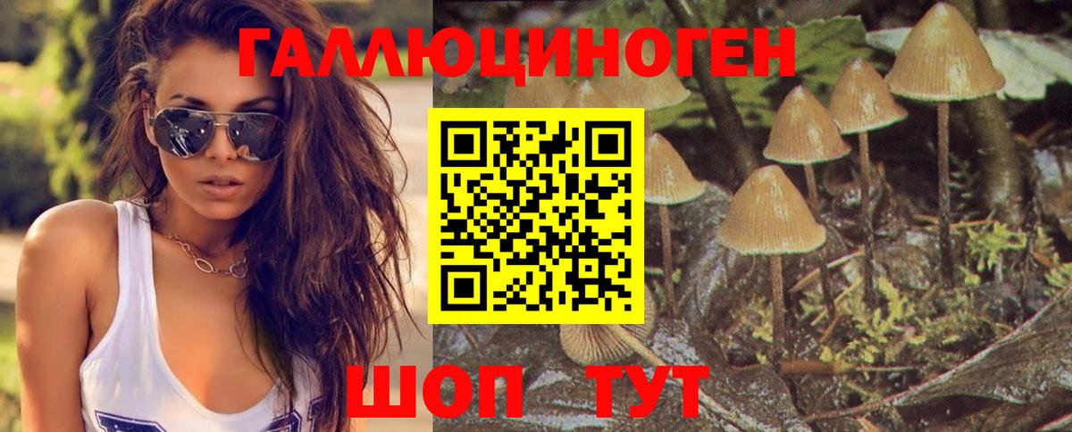 Псилоцибиновые грибы прущие грибы Гай