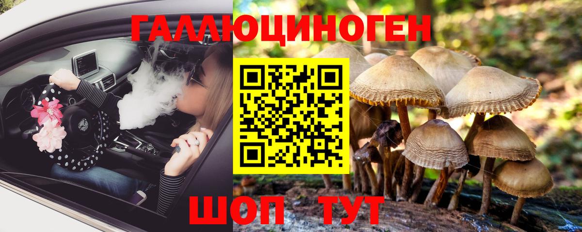 Галлюциногенные грибы MAGIC MUSHROOMS  Гай 