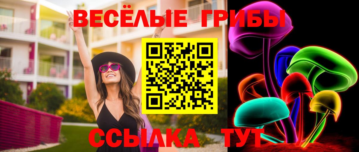 цена наркотик  Псилоцибиновые грибы Psilocybe  Вход с VPN  Гай 