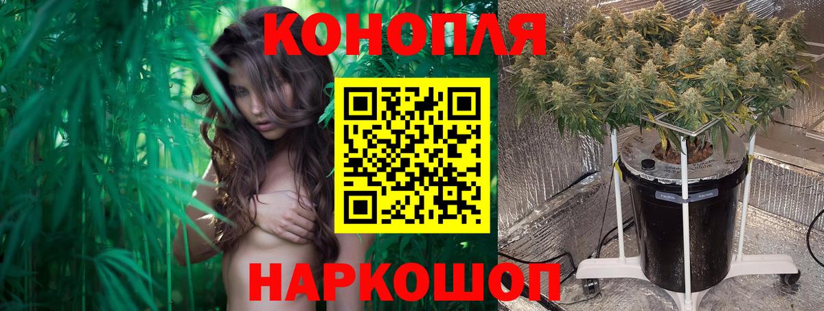 Канабис SATIVA & INDICA Гай